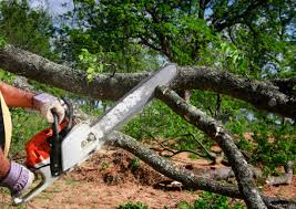 Lawn Irrigation Installation and Maintenance in Chamblee, GA